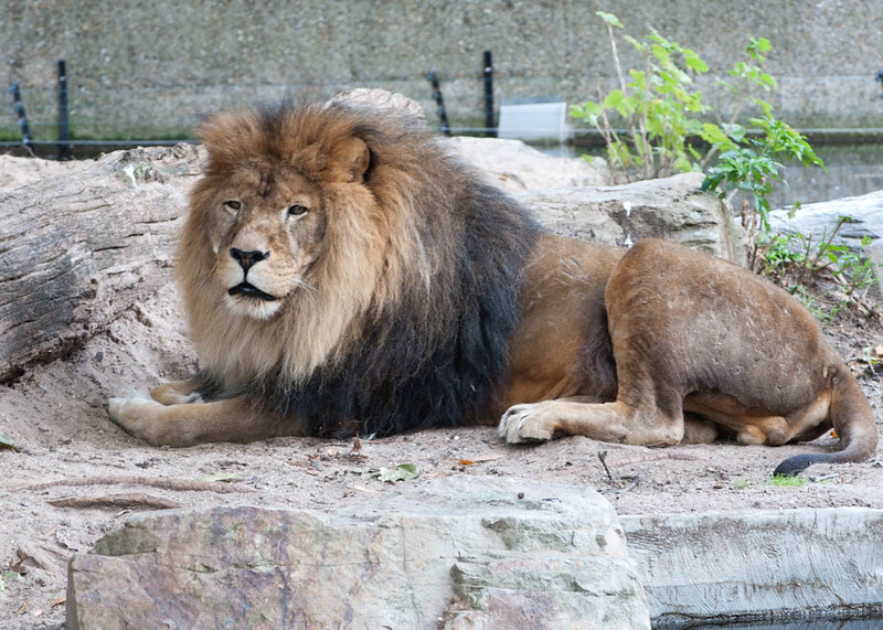 Reviewing the Tenure of Justice Goodwin Liu (Part 2 of 6) California